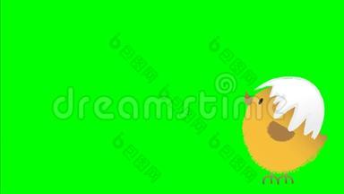 动画一个跳跃可爱的毛茸茸的复活节鸡，其上有开裂的鸡蛋壳，动画手绘卡通人物，在chr上。